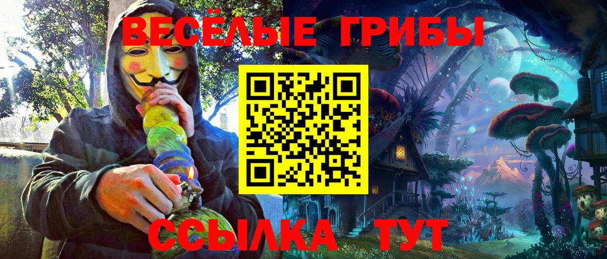 наркотики  Вход с VPN  Псилоцибиновые грибы мухоморы  Аша  Галлюциногенные грибы Psilocybine cubensis 
